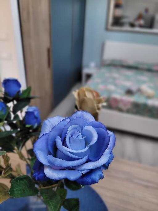 Casa Fiori Blu - Figline Valdarno Daire Dış mekan fotoğraf